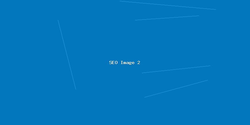 全网SEO优化