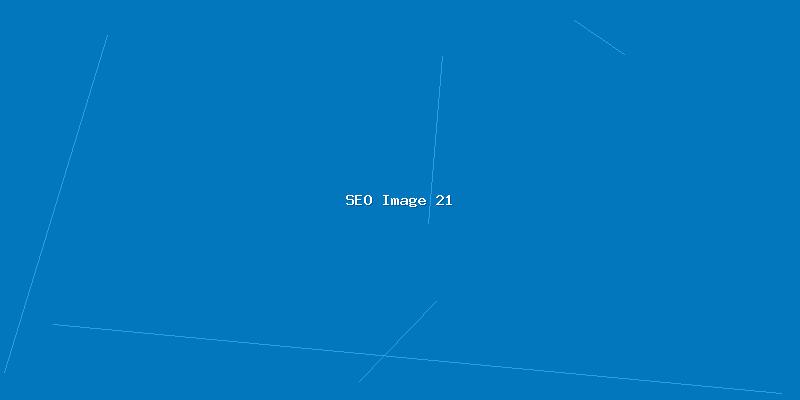 全网SEO优化