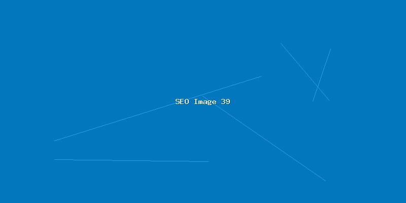 全网SEO优化