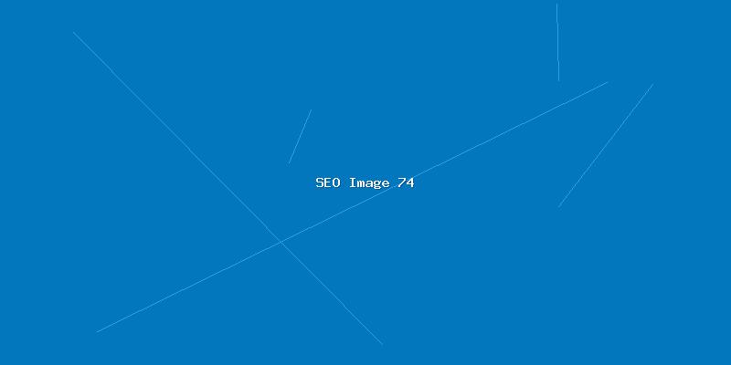 全网SEO优化