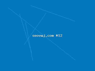 干货分享：网站整站优化在多引擎SEO中的实际应用案例