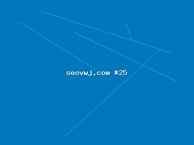 从业五年百度整站SEO经验总结：SEO整站的核心方法论